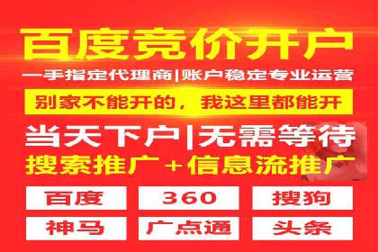 揭秘百度竞价代理：实战案例分析